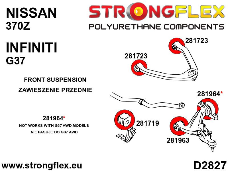 Brazo inferior delantero - deporte arbusto trasero