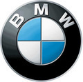 BMW Cojinetes