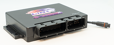 Link ECU BMW Mini Cooper S 2002-2006 Control del motor