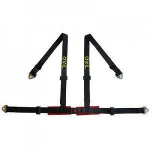 QSP 4 PUNTO DE SEGURIDAD DE SEGURIDAD 2"