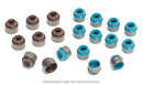 Supertech Kit Retenes Valvulas Escape 6.0mm BMW/Toyota B58