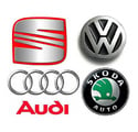 VW Link ECU PnP