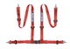 SPARCO 4PT SALIDAL HARNESS RED - CALLE