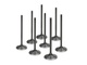 Kit de válvulas de admisión Supertech Opel 31,30 mm (estándar) Negro