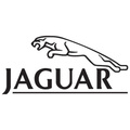 Jaguar Motorlager