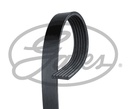 Cinturón de conducción 6 costilla 1863 mm